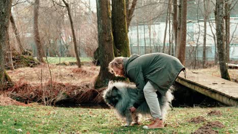 very sensitively, this gray and extraordinarily fluffy wolf spitz is cuddled under the armpits