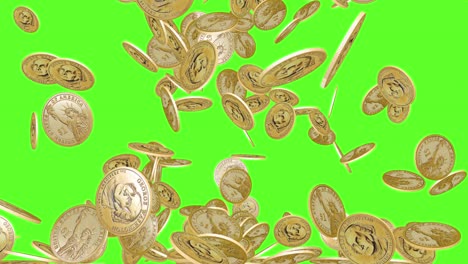 la lluvia de monedas de oro estadounidenses.