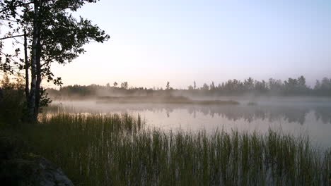 Nebel-Schwebt-Am-Kalten,-Sonnigen-Frühen-Morgen-über-Dem-Riesigen-See