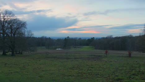 twilight descends over lyme park with a fiery sky backdrop, bare trees in winter