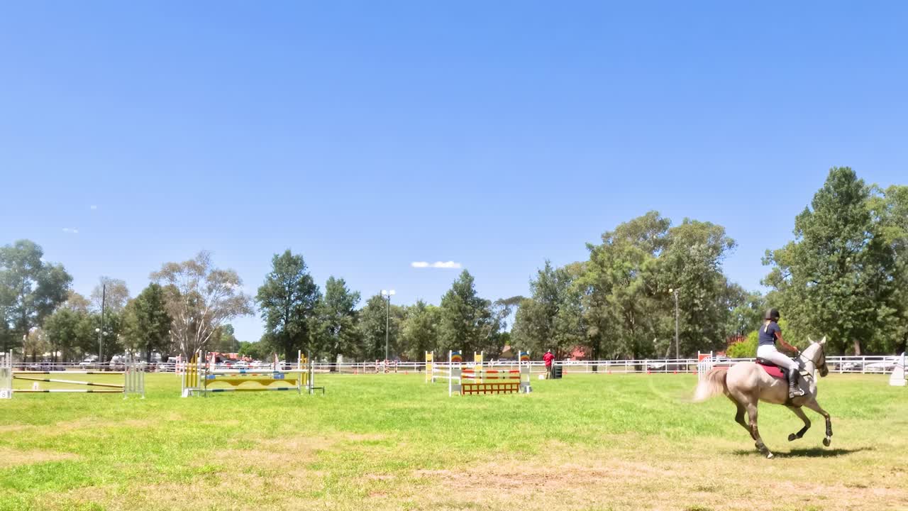 A horse and rider move across a sunlit field with trees and fences in the background.