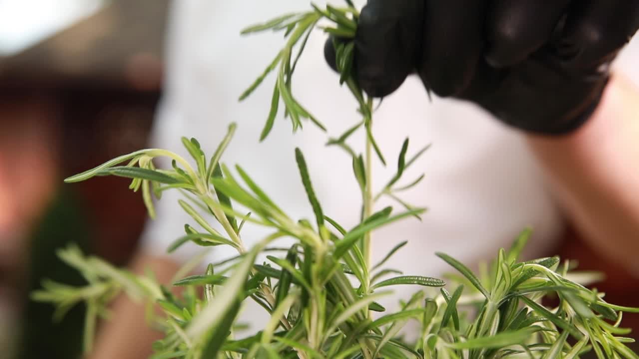 로즈마리 허브 를 준비 하는 요리사