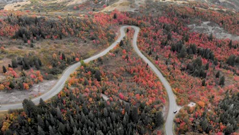 Aerial-shot-over-the-autumn-trees-as-cars-drive-up-Utah's-Squaw-Peak-Road