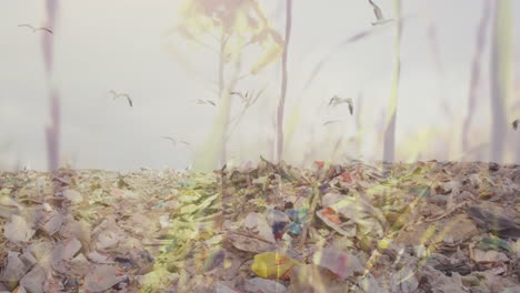 animation of grass moving over waste disposal site