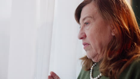 portrait of a mature woman looking out a window