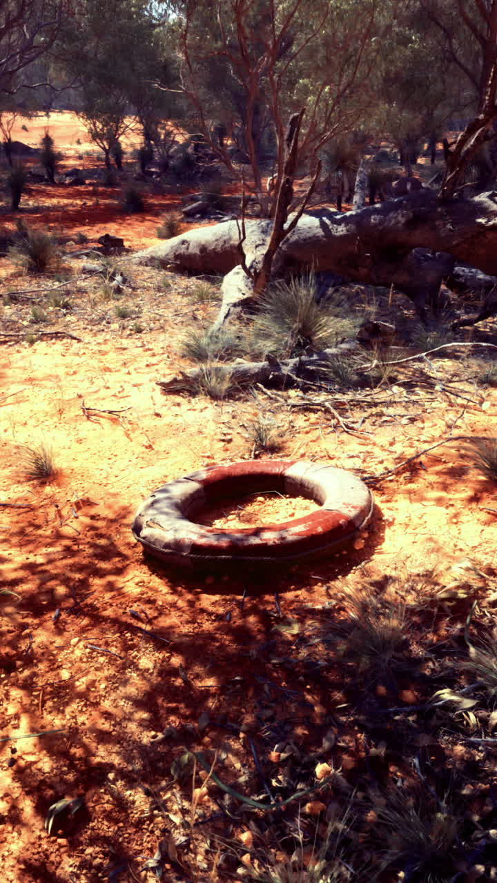 Barren landscape with a forgotten tire in the midst of rugged terrain