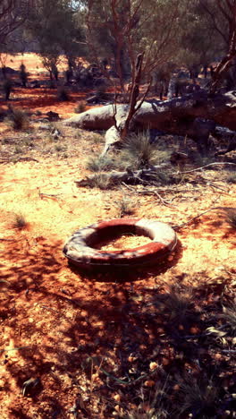 barren landscape with a forgotten tire in the midst of rugged terrain