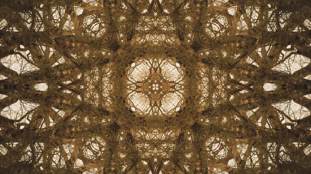 árboles en simetría - en bucle