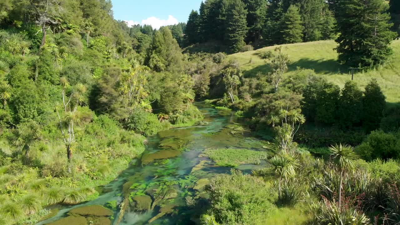 Aerial shot of pristine lush New Zealand nature and clear water stream
