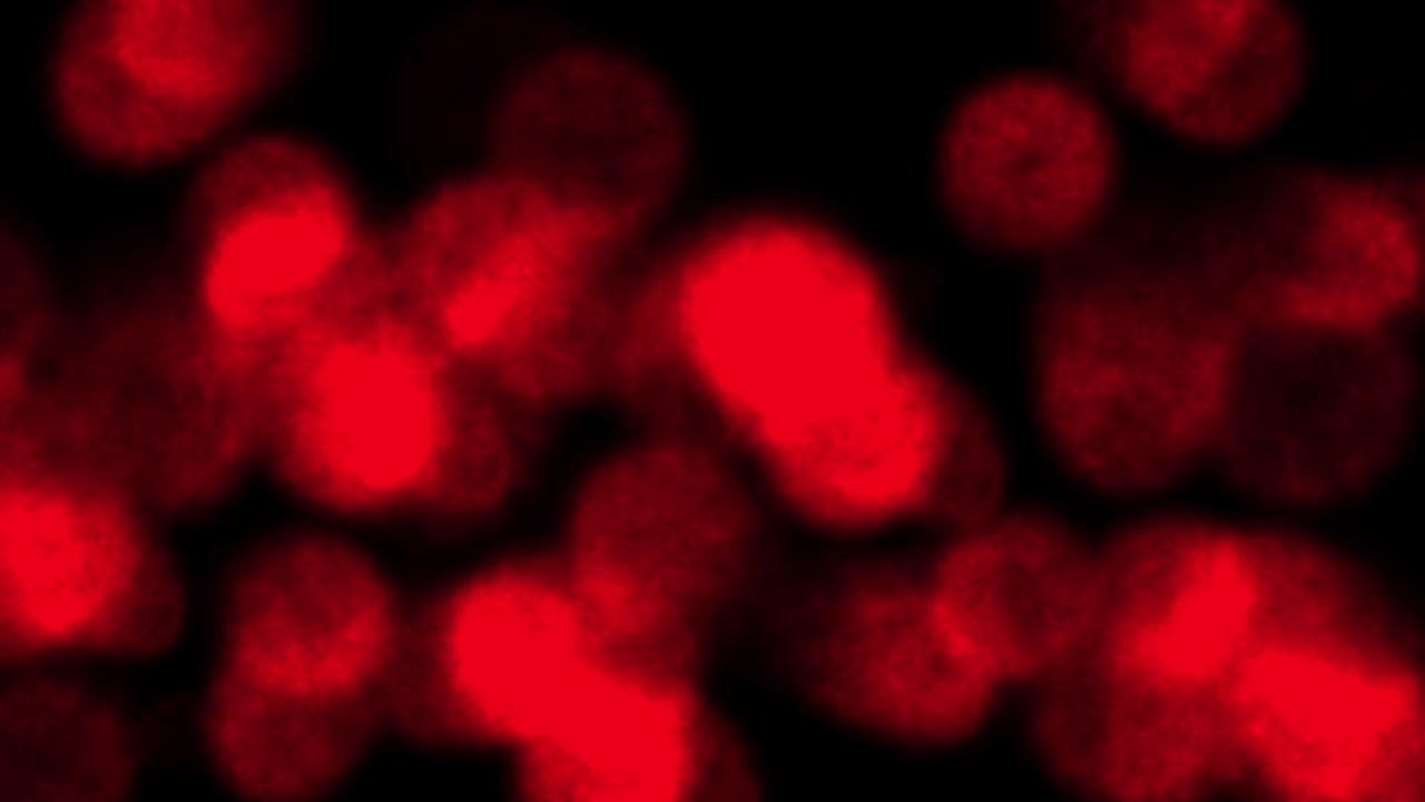 generación de fondo de humo animación de partículas de color gráficos de movimiento