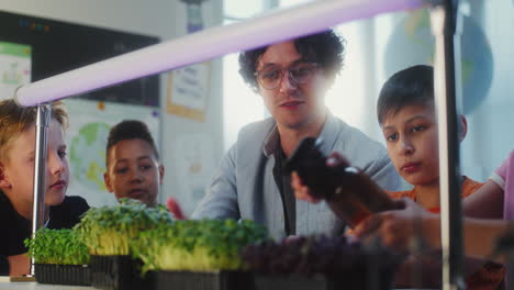 teacher demonstrating hydroponic plants to students in a classroom setting