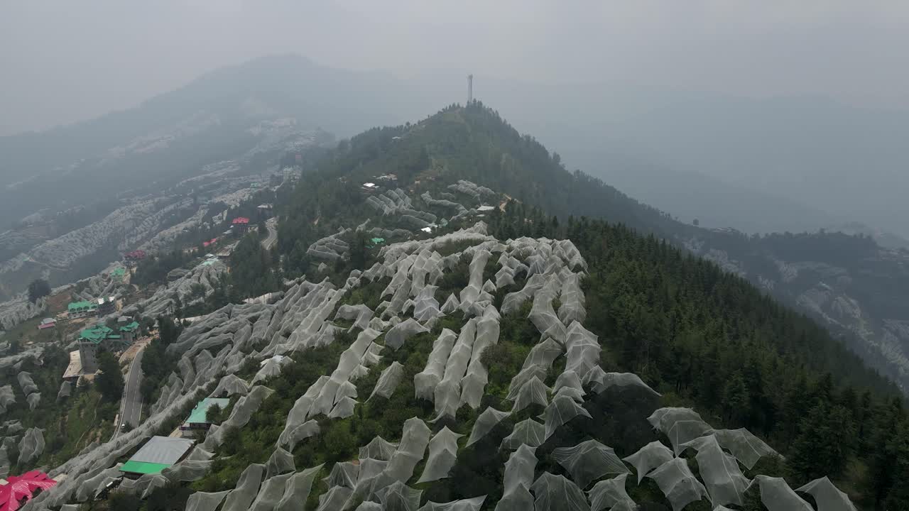 imagen aérea de drones de las granjas de manzanas en himachal pradesh.