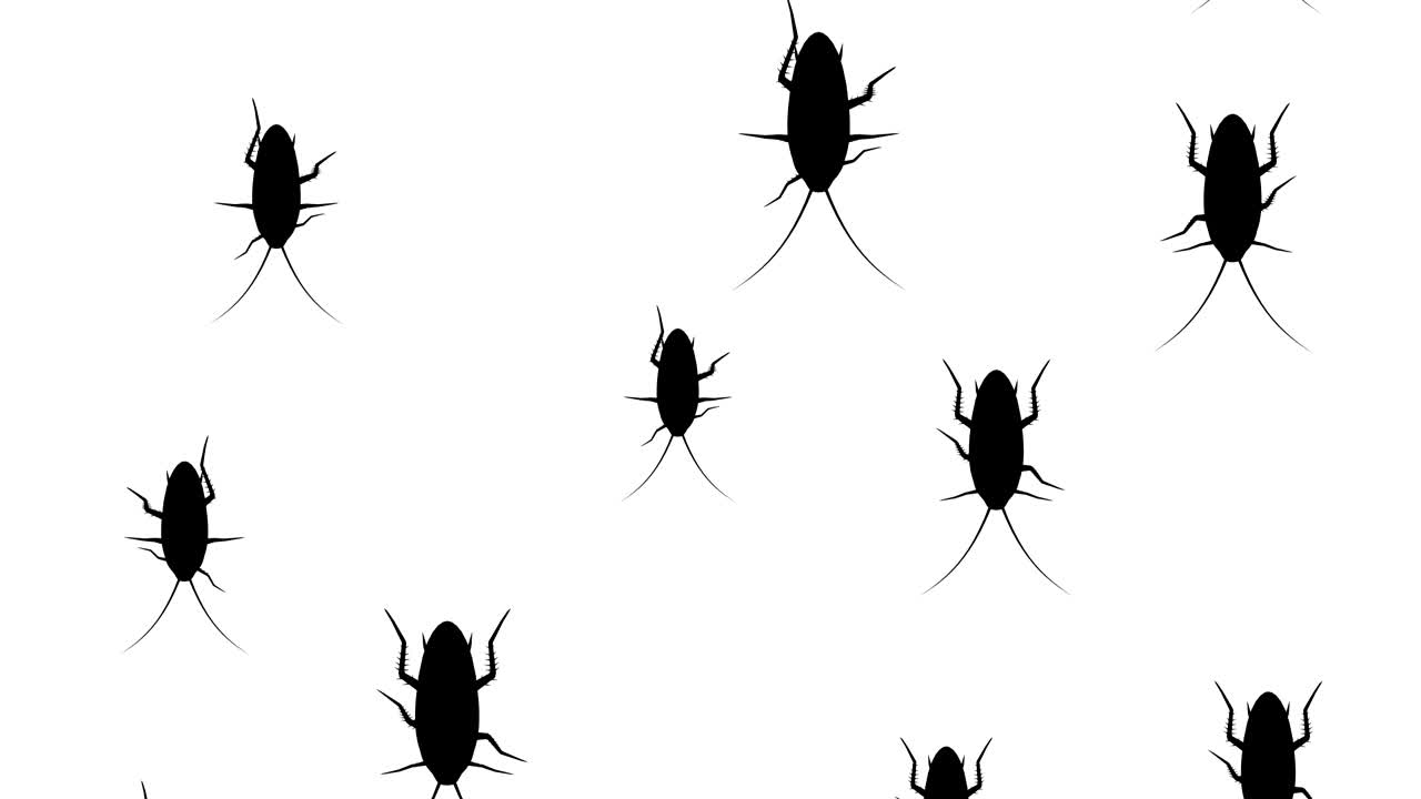 las cucarachas corren hacia abajo.