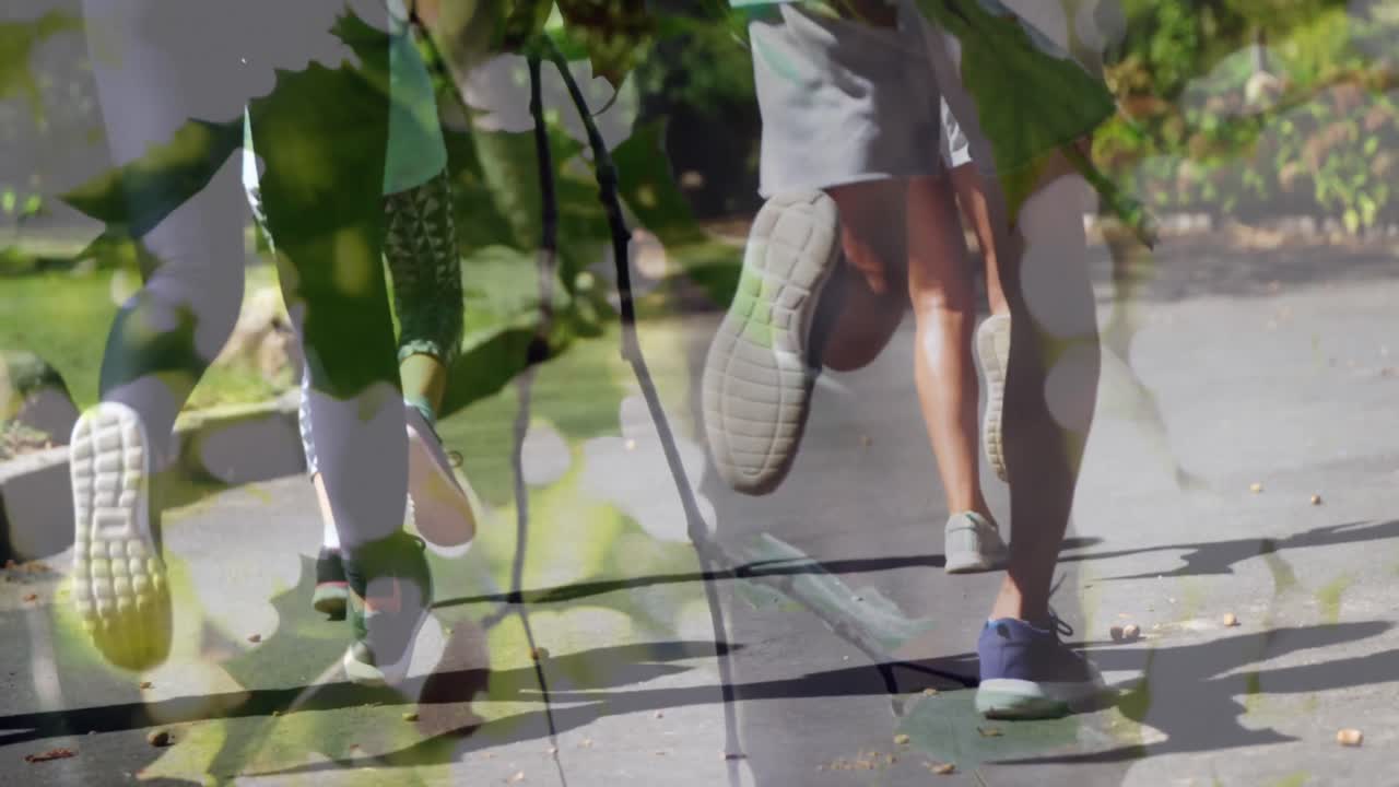 Animation of group of caucasian male and female runners in park over leaves