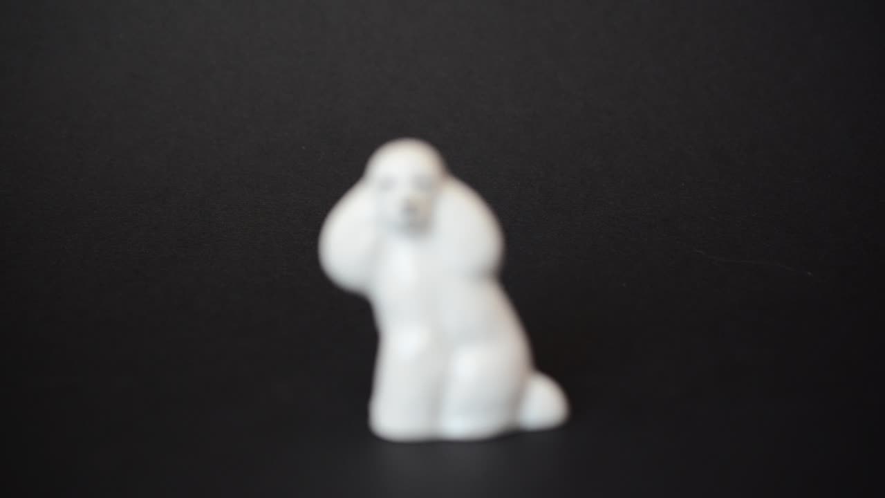 Shooting of a dog of a poodle. Shooting of a figurine