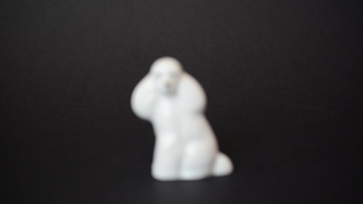 Shooting of a dog of a poodle. Shooting of a figurine