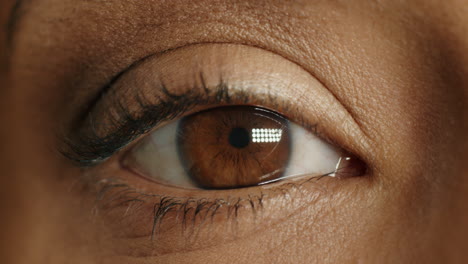 close up macro brown eye opening blinking natural human beauty healthy eyesight concept