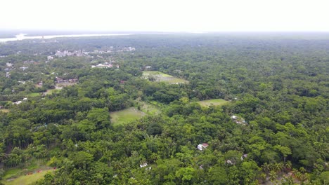 Drone-flyover-dense-forested-landscape,-Small-houses-surrounded-by-lush-trees-and-paddy-fields