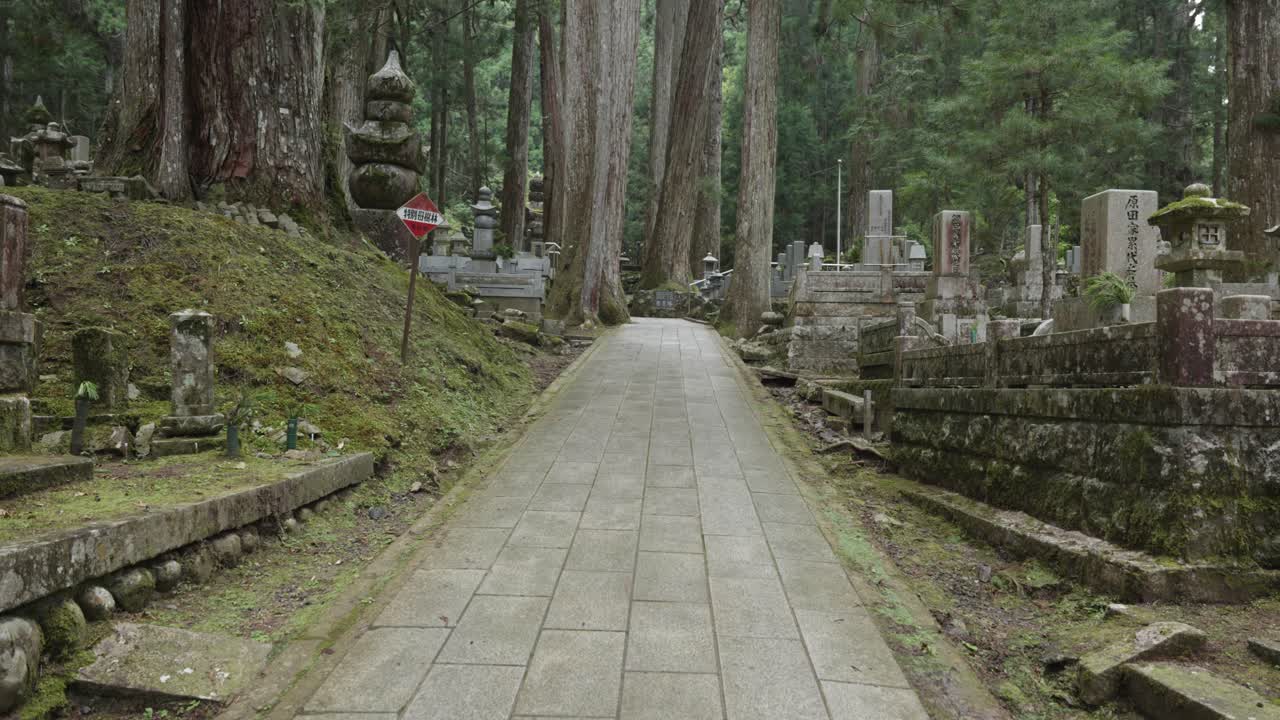 Stone path leading through a cemetery in a japanese forest at Koya San, Japan