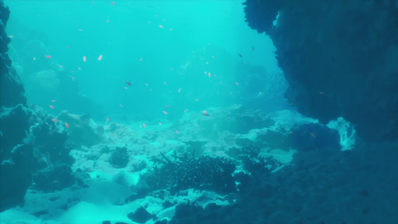 Exploring the vibrant underwater world with colorful fish and coral reefs