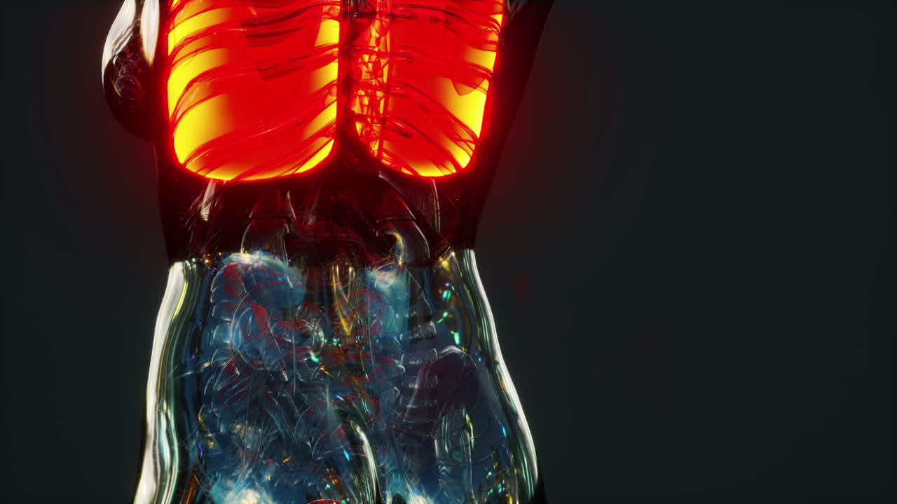 enfermedad de coronavirus covid-19 infección médica en los pulmones humanos