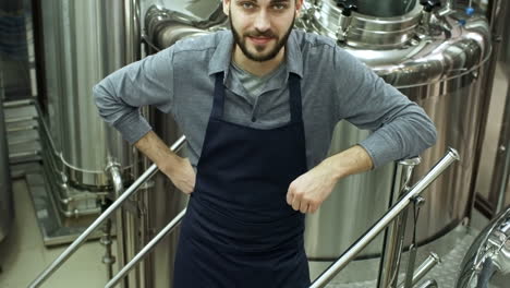 apuesto trabajador de cervecería barbudo en delantal de pie en la planta de cerveza y mirando a la cámara