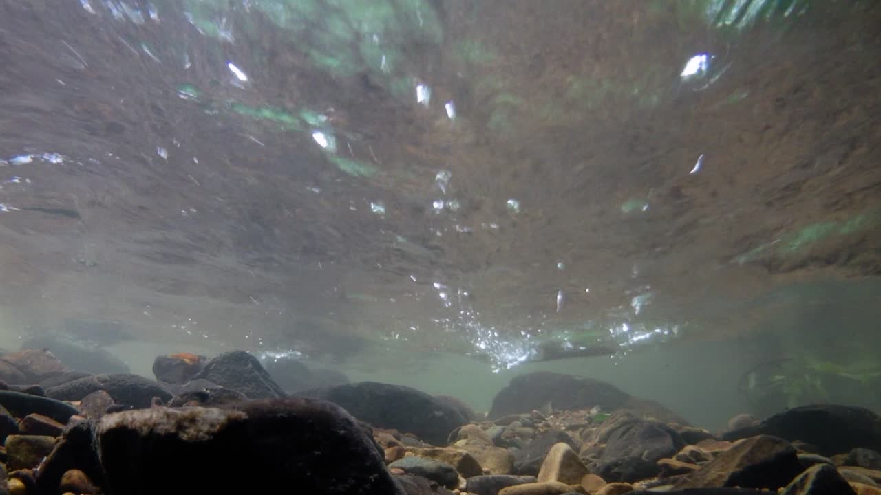 el parque nacional kaeng krachan es el hogar de muchos animales salvajes fantásticos y los arroyos son una fuente de vida de agua dulce para que los animales beban y los peces naden.
