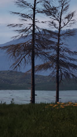 serene lake landscape with dead trees and mountains