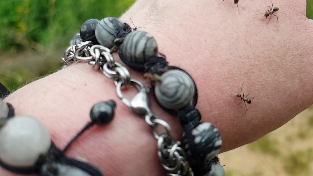 Ants slow motion running over hand and fingers pinching and biting trying to protect their colony macro close up