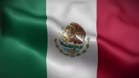 frontal view of the mexican flag flag flapping in hd