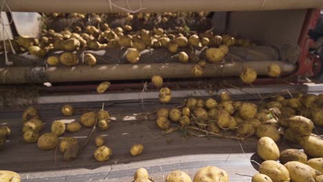 patatas cayendo en cámara lenta.