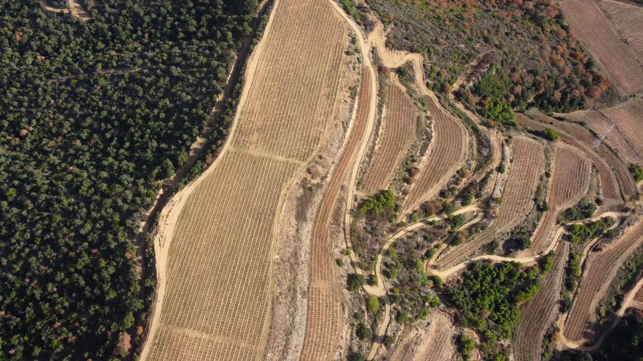 Aerial view of a terraced vineyard and forest landscape