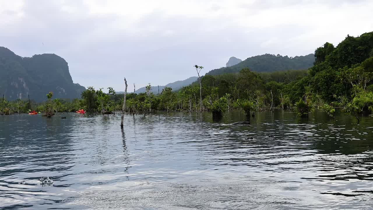 Chèo thuyền kayak trong một đầm phá nhiệt đới