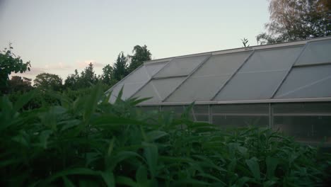 Tiro-De-Tierras-De-Cultivo-Con-Invernadero