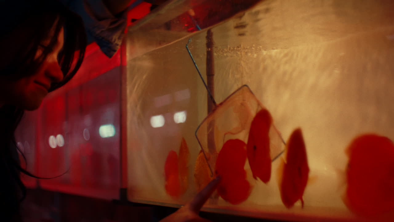 People looking at fish at a night market