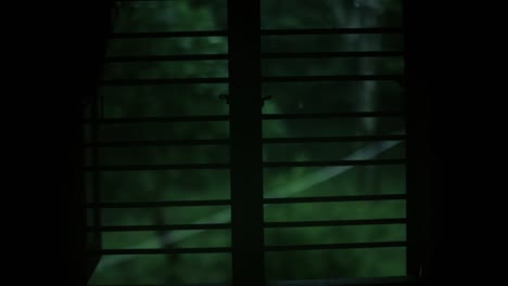 rainy night view through a window