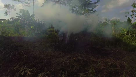 humo de la quema de hierba seca