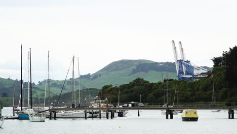 port chalmers. south island, new zealand. industrial dock