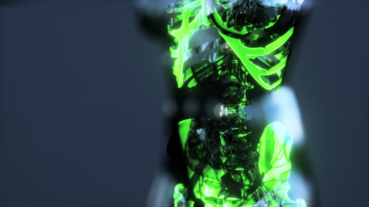 전체 골격의  ⁇ 스레이 밝기 빛