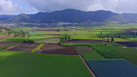 Fly-Over-Beautiful-Verdant-Agricultural-Farmlands-Near-Constanza-Valley-In-Dominican-Republic