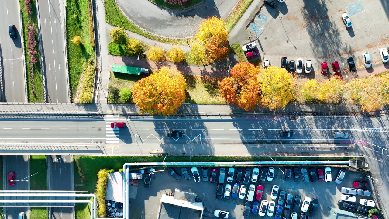 Aerial top view of autumn city street with colorful trees and parking lot in Gdynia, Poland