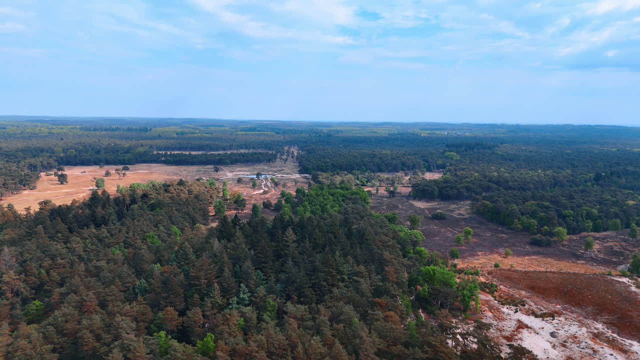 Vast forests and fields. Aerial view showcases a lush forest surrounded by open fields under a clear blue sky, creating a serene nature scene
