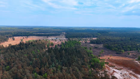 vast forests and fields. aerial view showcases a lush forest surrounded by open fields under a clear blue sky, creating a serene nature scene