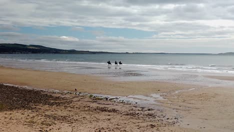 scottish beach with horses walking in the water with gentle waves
