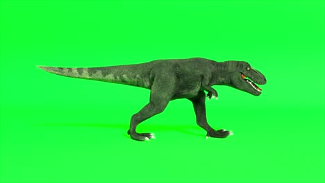 tyrannosaurus rex running on green screen