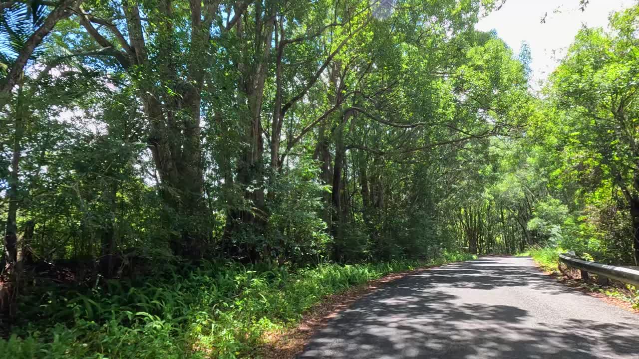 Aerial footage captures a serene drive through winding forest roads in Mullumbimby, Queensland, under bright daylight