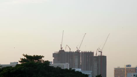 urban view with construction and birds flying around