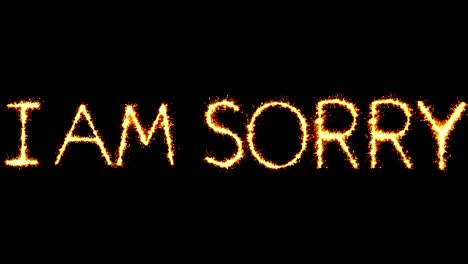 i am sorry text sparkler glitter sparks firework loop animation