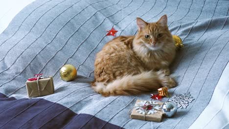 lindo gato de jengibre tendido en la cama con regalos de año nuevo en papel de artesanía. hogar acogedor fondo de vacaciones de navidad