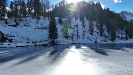 Drone-cruising-flight-on-iced-lake-surface-with-sun-reflection,-toward-yellow-Pines-forest-at-foliage-in-front-of-Dolomites-at-Fall---not-graded